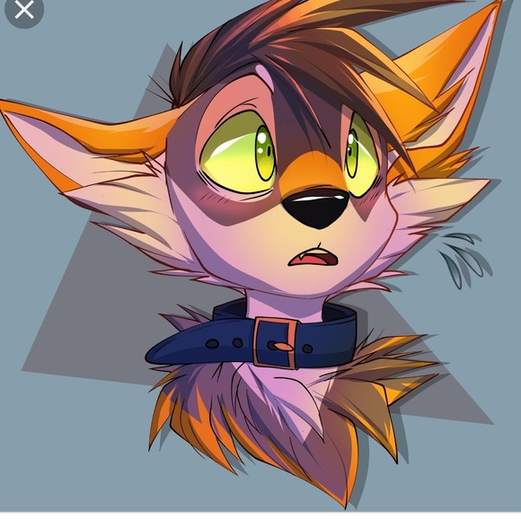 Meet your Posher, Bubbles - Picture 1 of 1